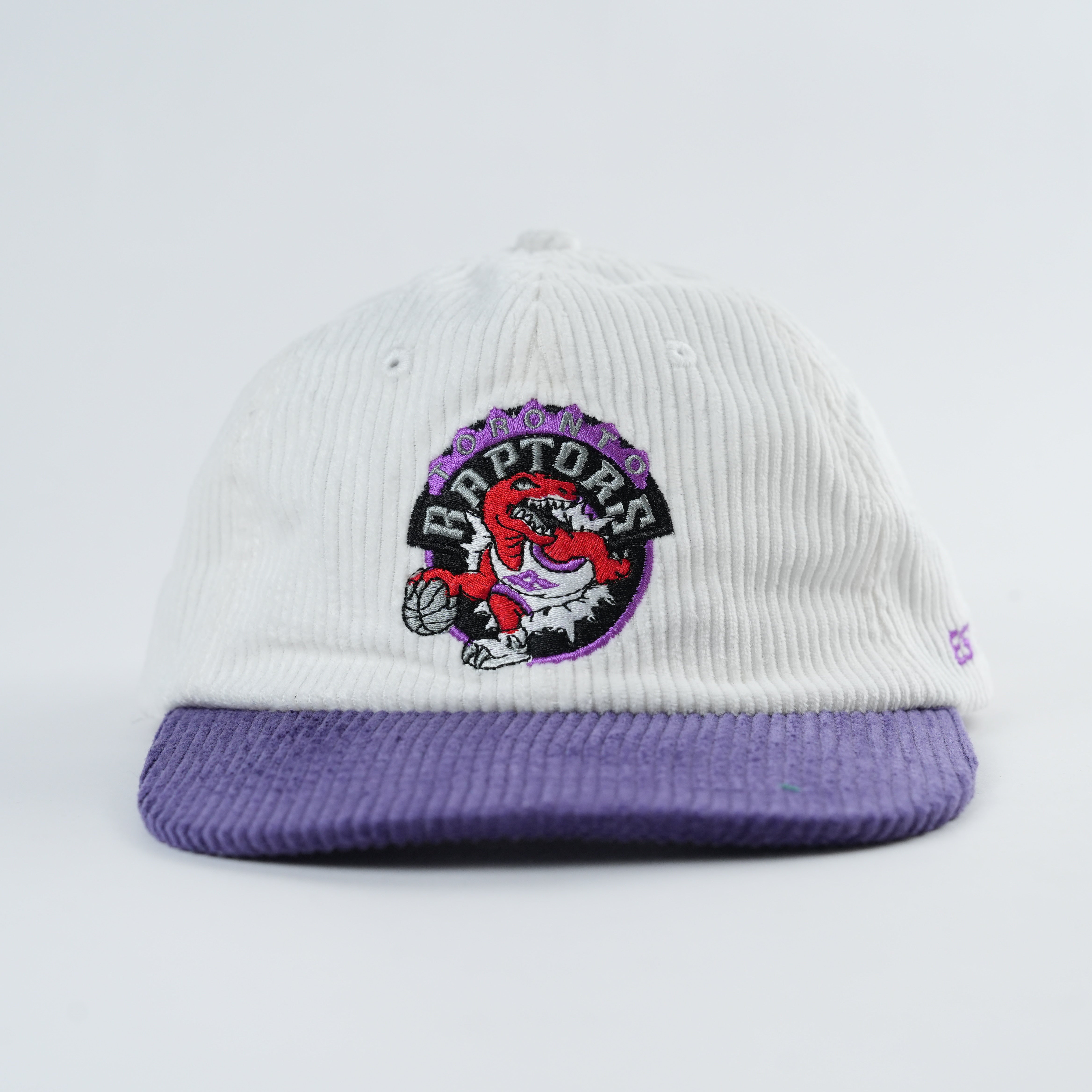 Raptors Retro Lid