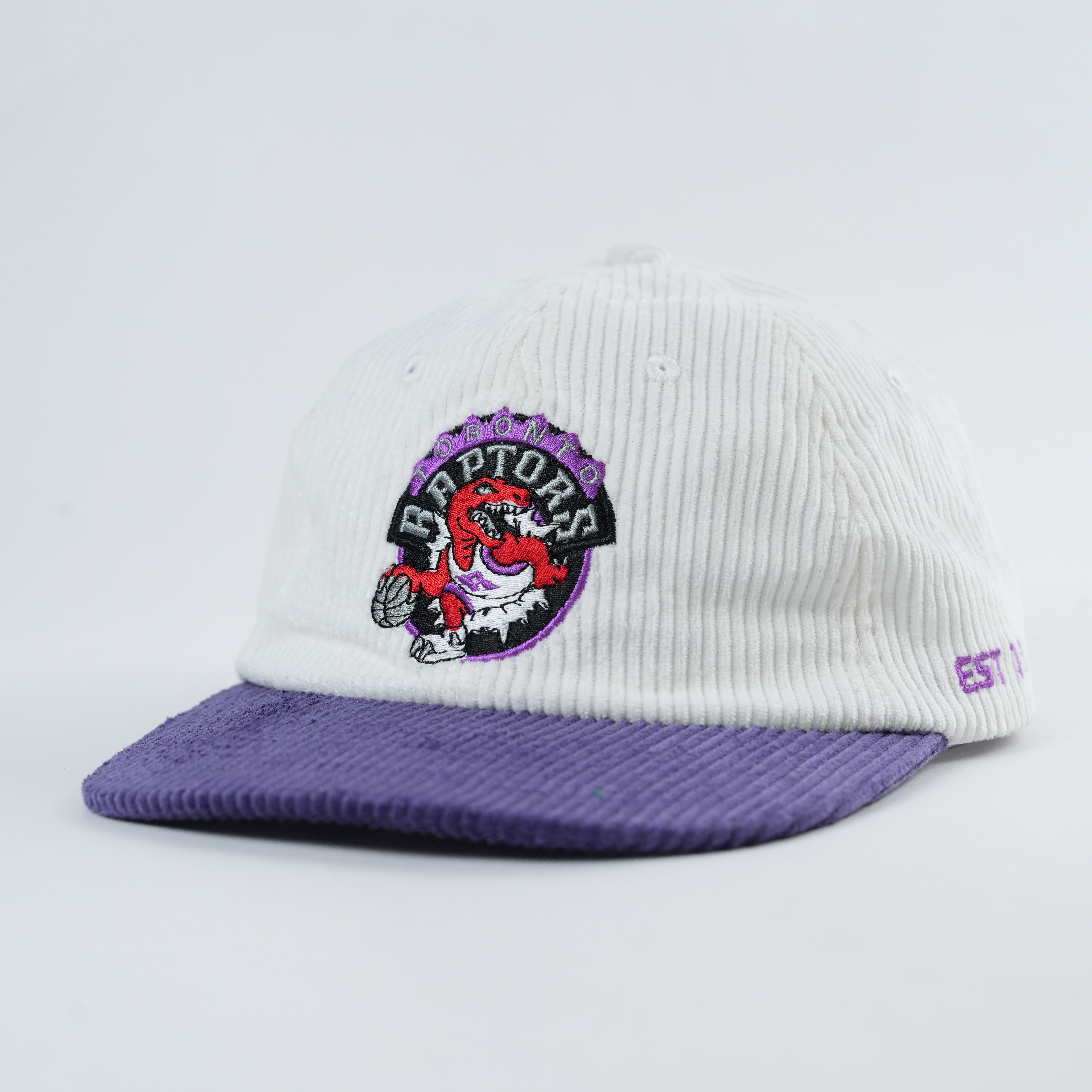 Raptors Retro Lid