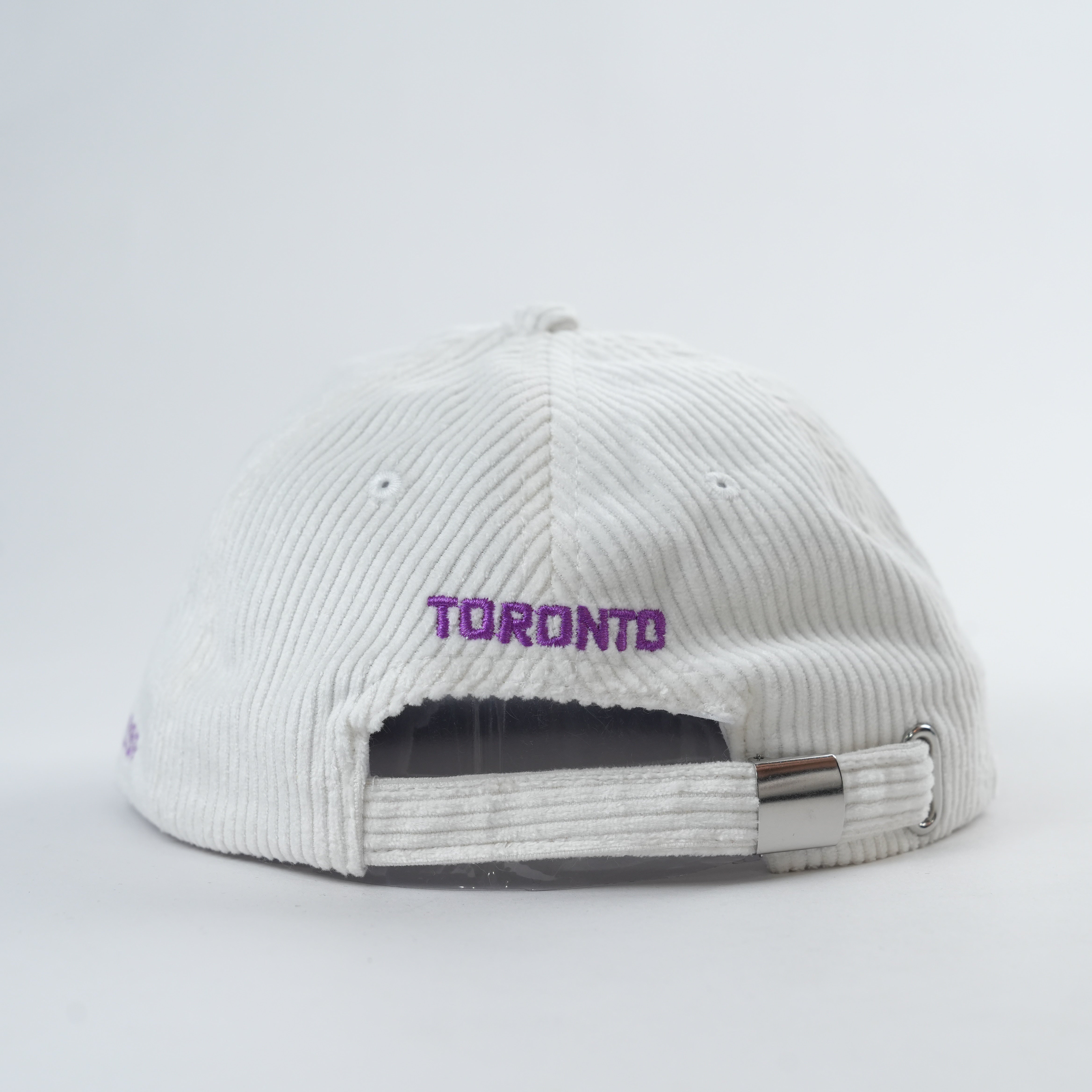 Raptors Retro Lid