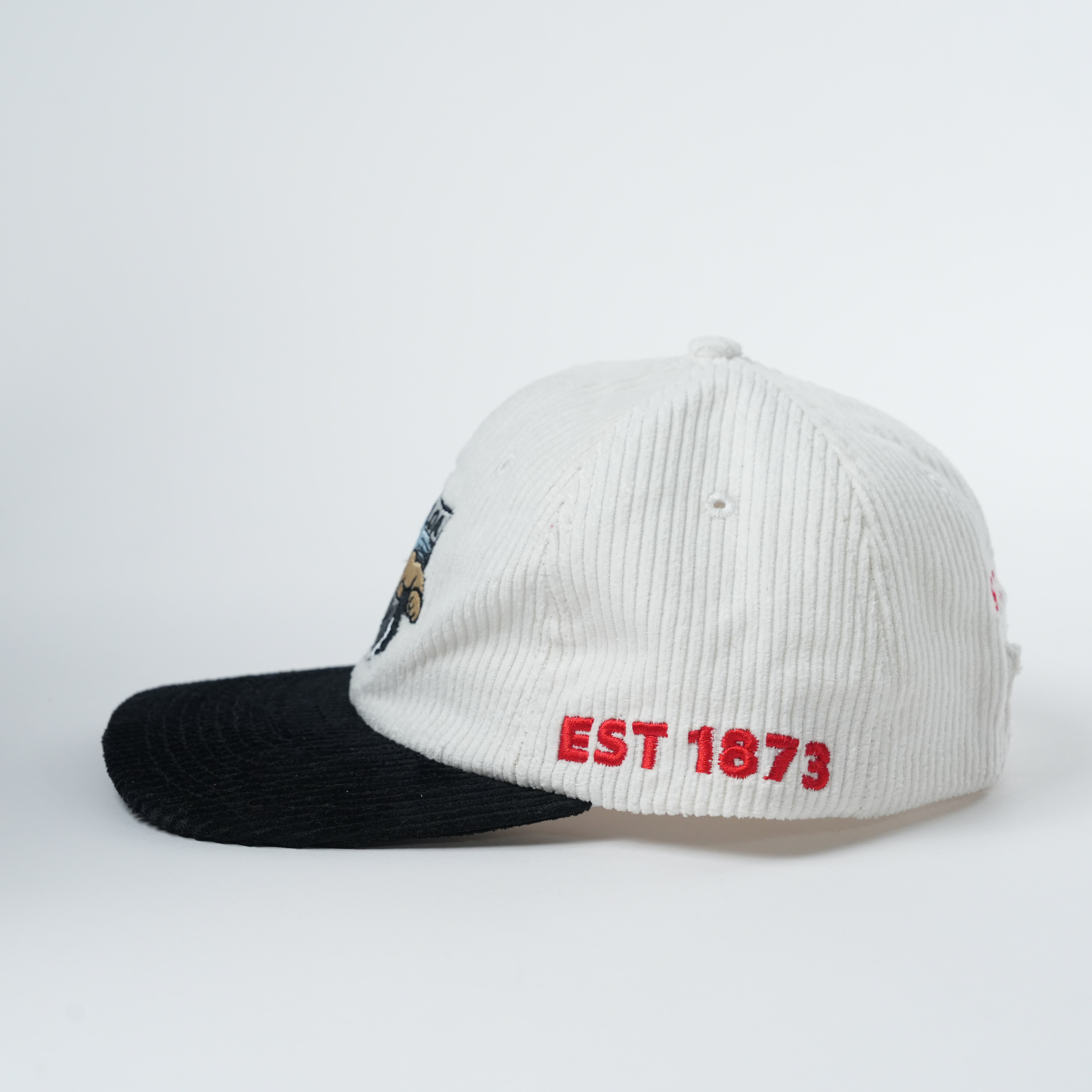 St Kilda Retro Lid