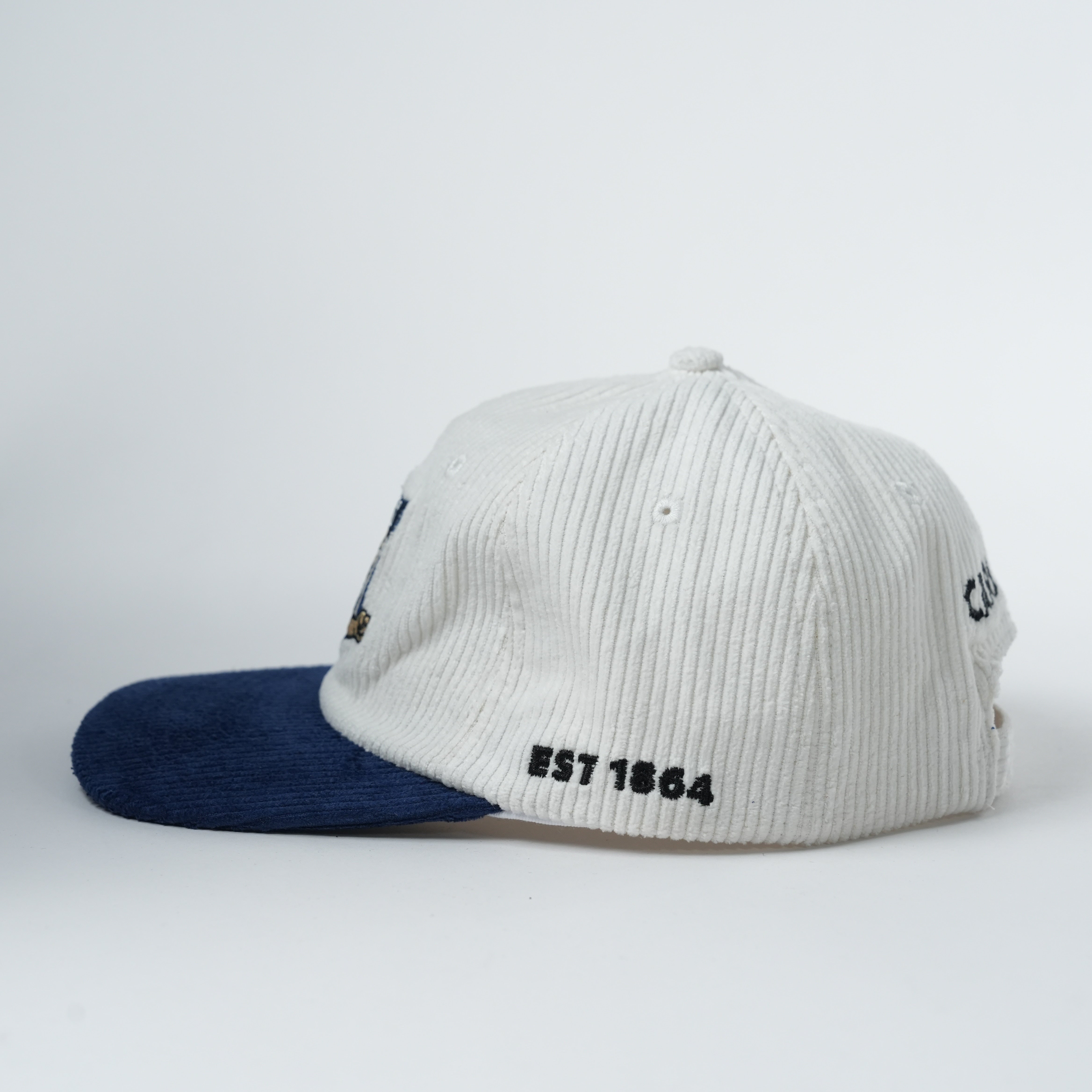 Blues Retro Lid