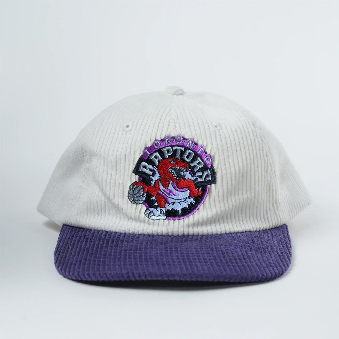 Raptors Retro Lid